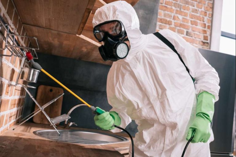 Pest control emergency