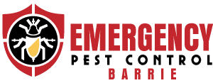 $50 off pest control services in Vaughan, Ontario. Mention Vaughan50 for discount. Professional and safe pest control services for your home or business.