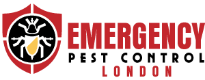 Emergency Pest Control London