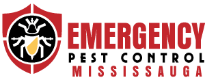 Emergency Pest Control Mississauga