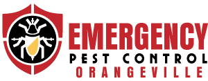 Emergency Pest Control Orangeville