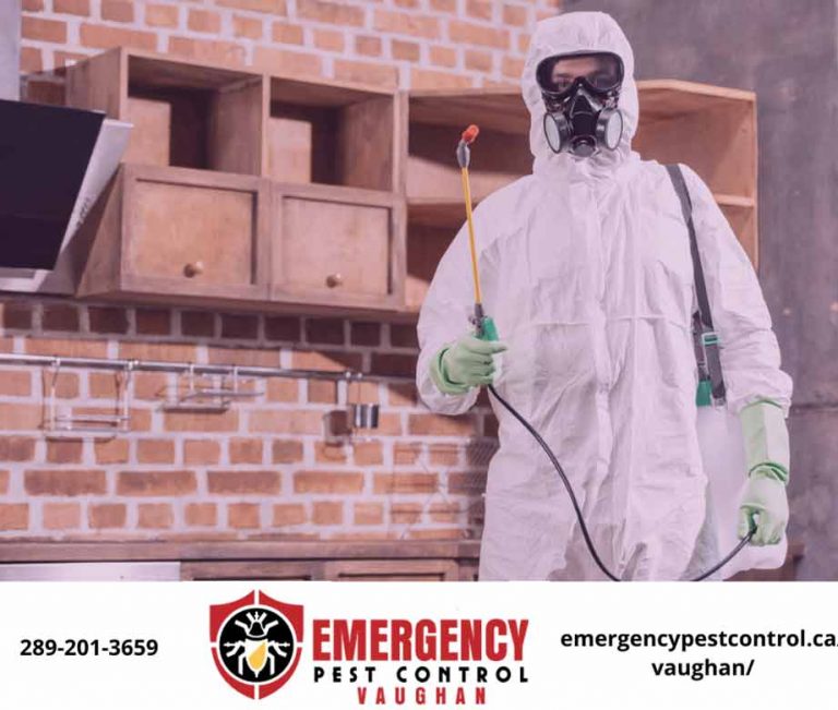 Pest Service Vaughan Emergency Get 50 OFF Today (289) 2013569