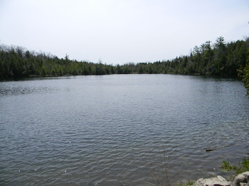 Lake View Crawford Lake Conservation Area in Hamilton, Ontario