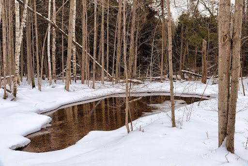 Winter in Bruce Trail in Hamilton, Ontario