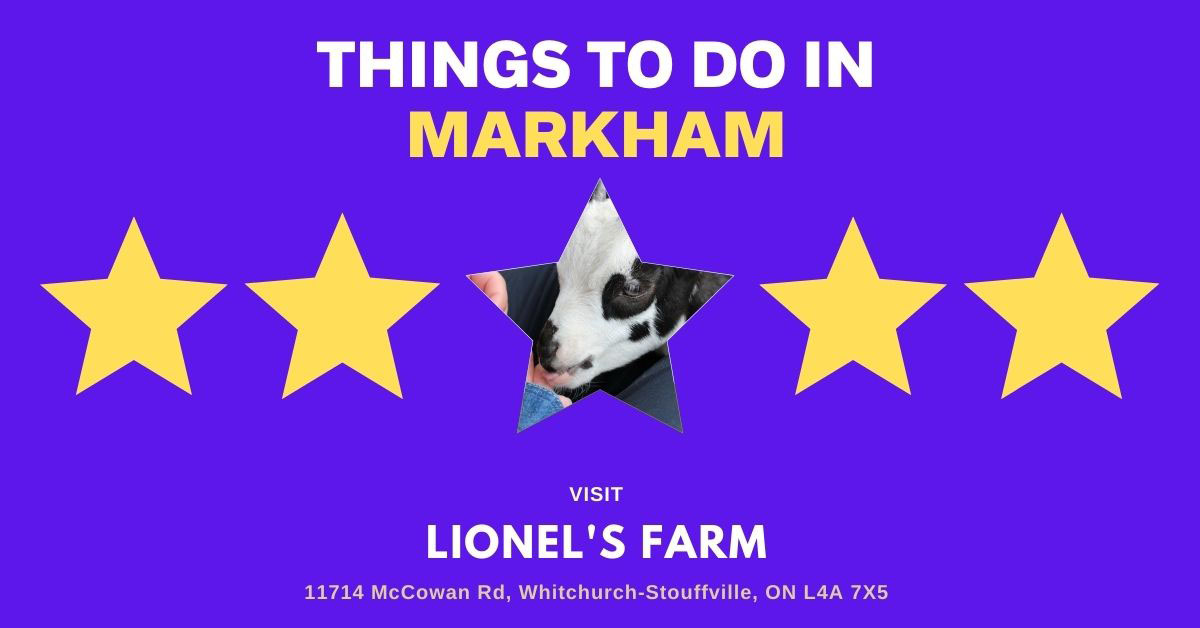 Lionel's Farm promo image