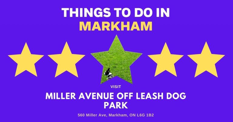 Miller Avenue Off Leash Dog Park promo image