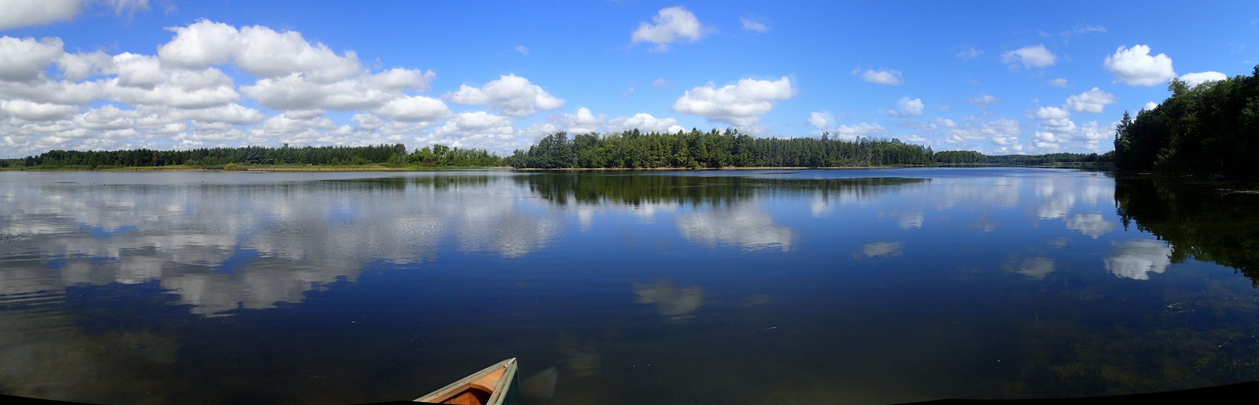 Panorama Of Island Lake Conservation Area